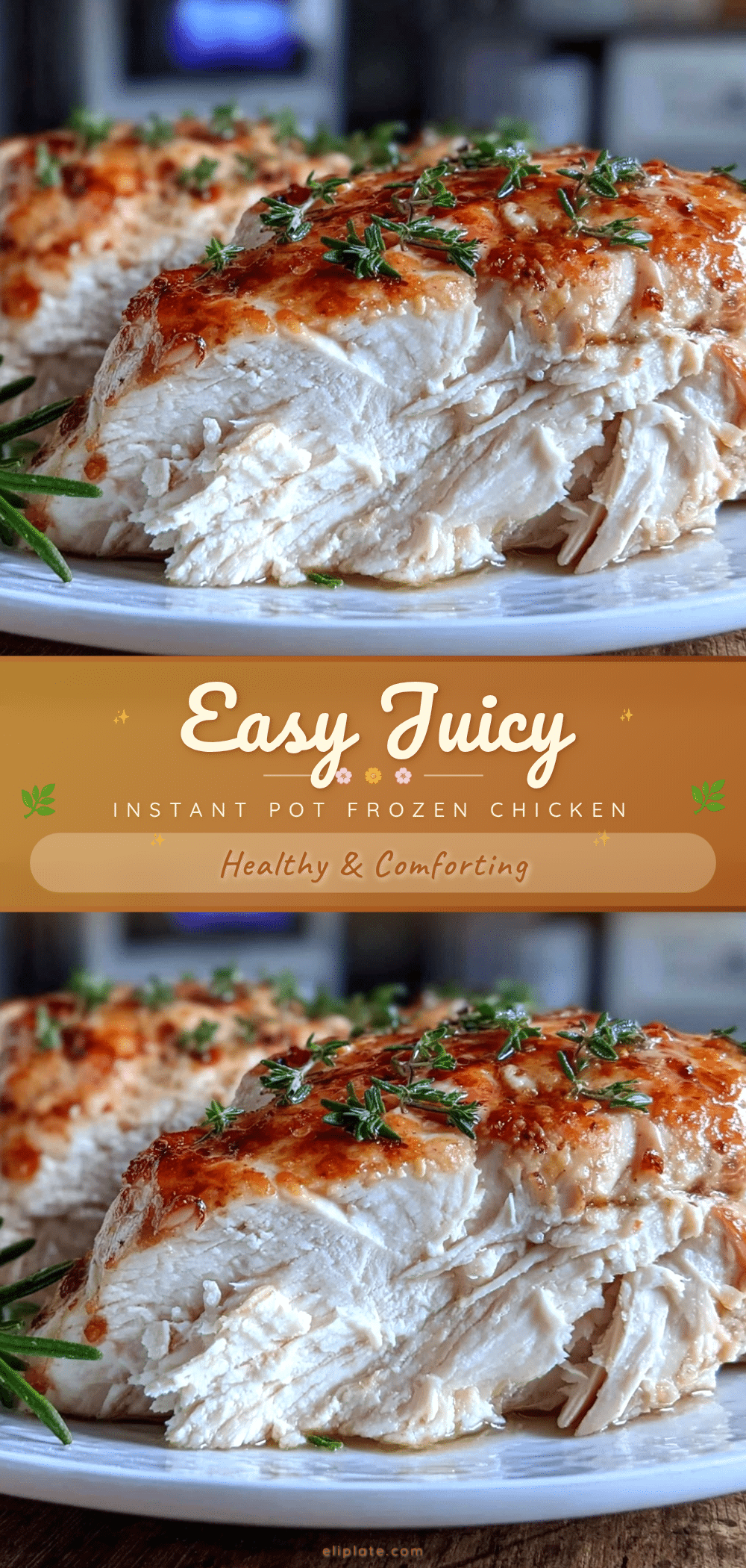 instant pot frozen chicken recipe recipe