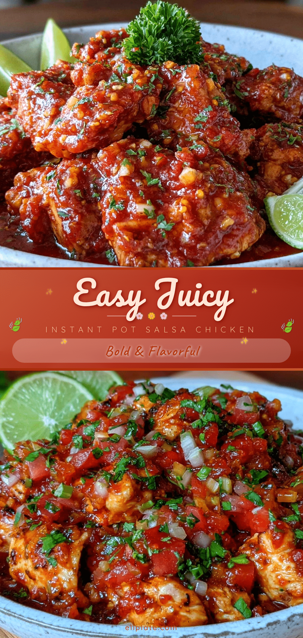 instant pot salsa chicken recipe