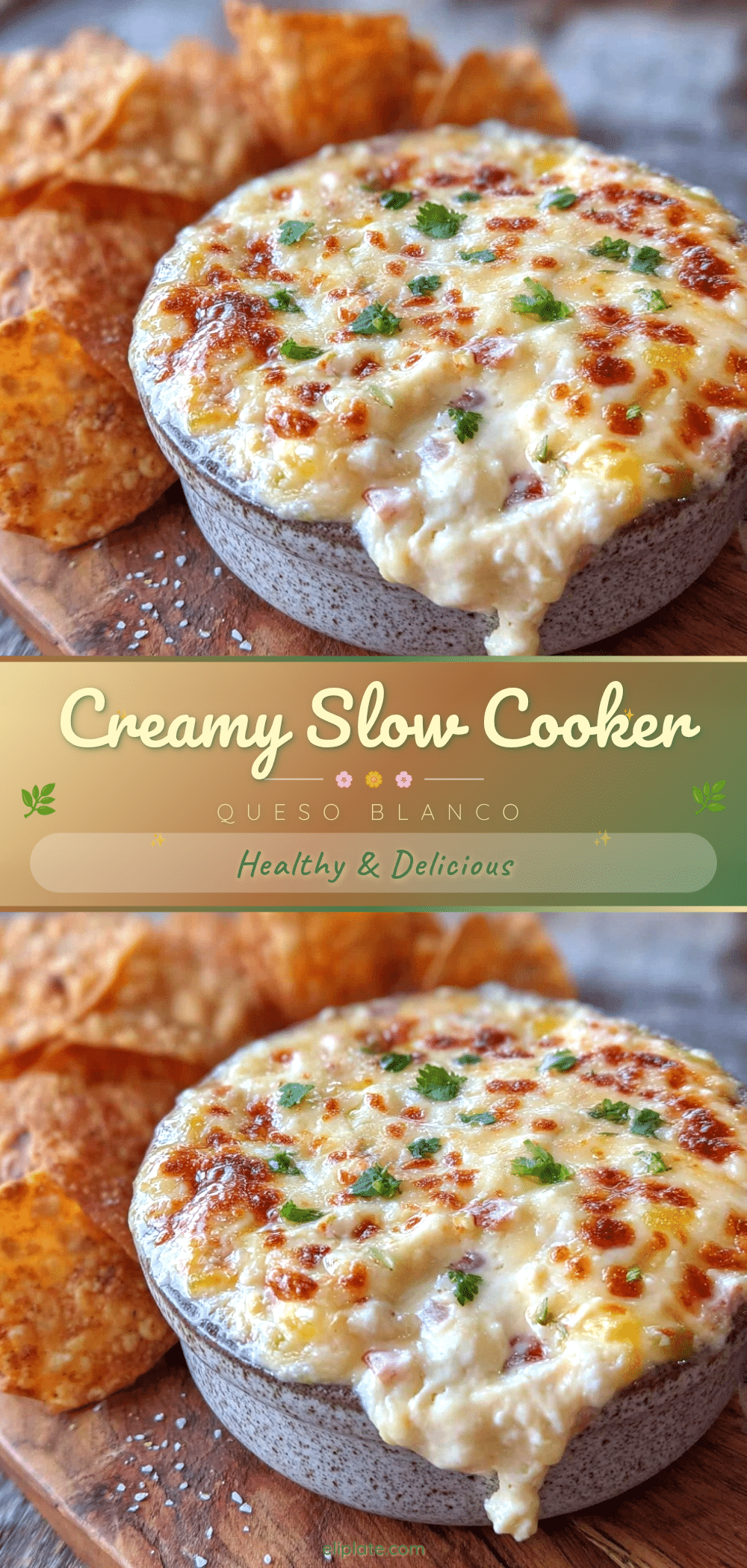 slow cooker queso blanco dip recipe