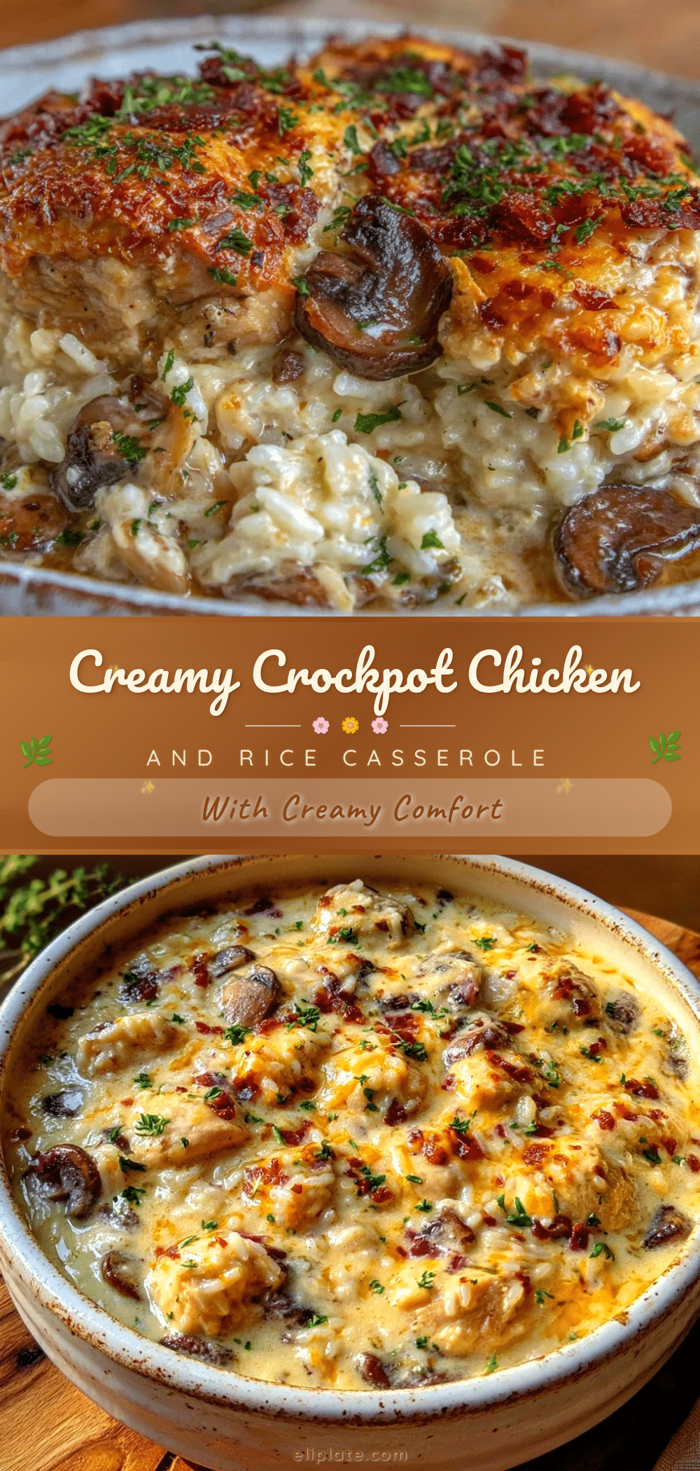 crockpot chicken and rice casserole recipe