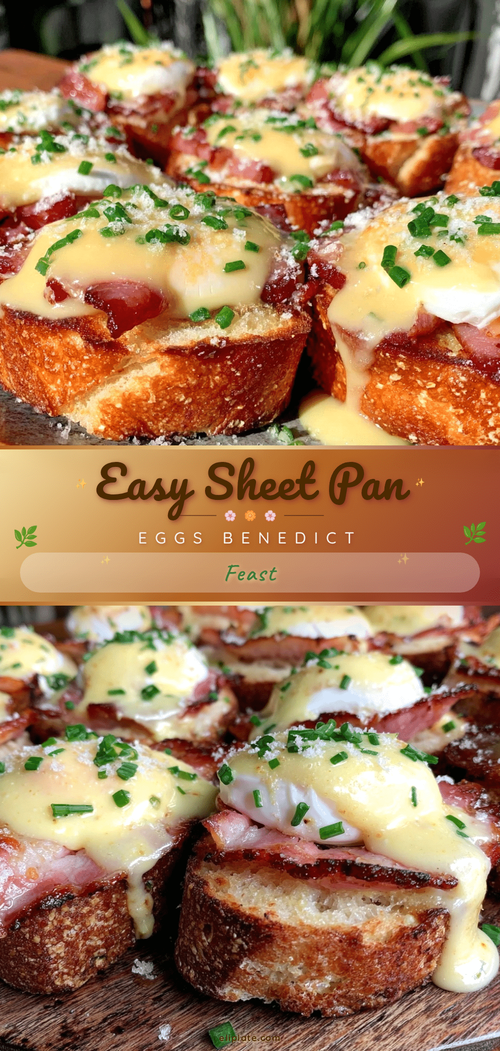 easy sheet pan eggs benedict recipe