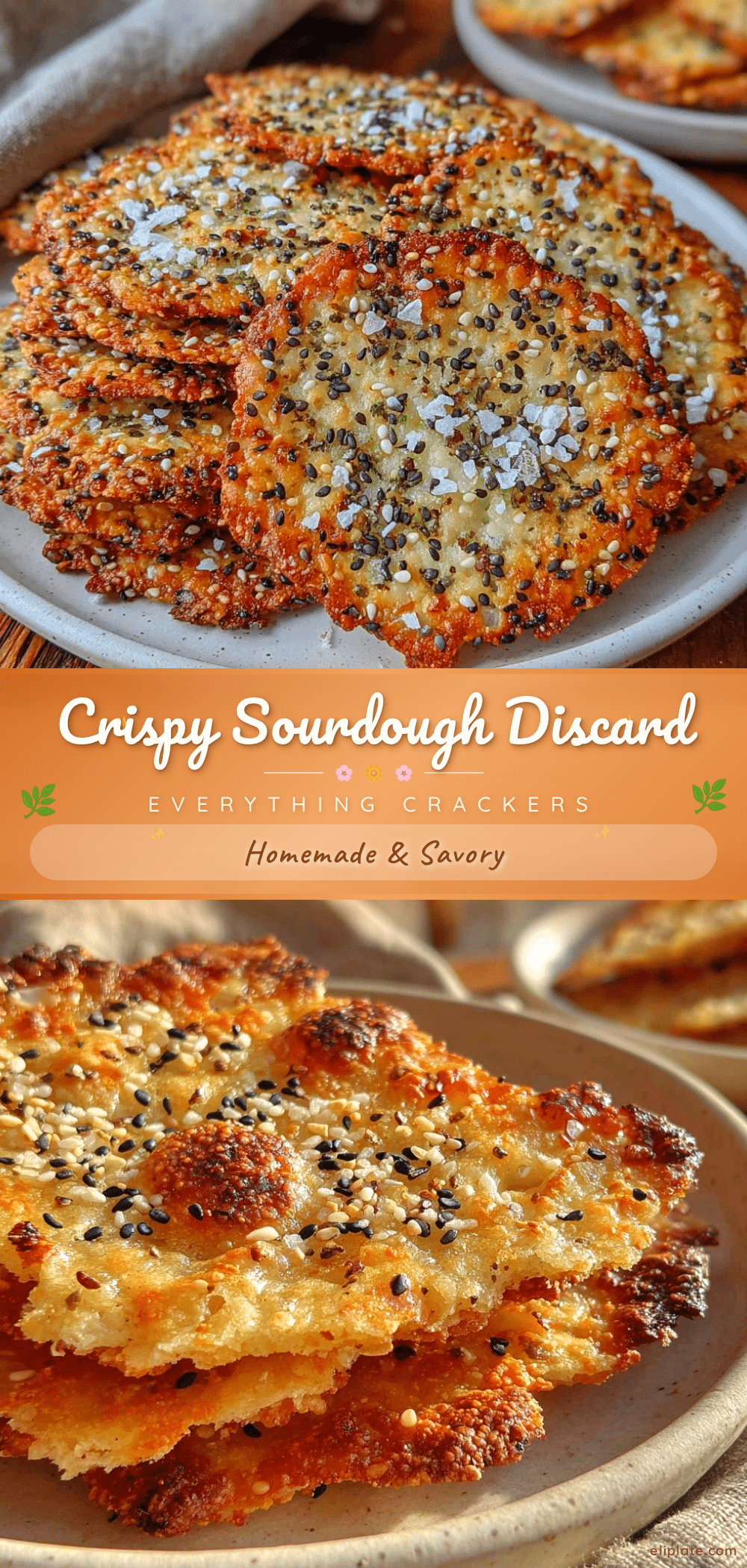 sourdough discard crackers recipe