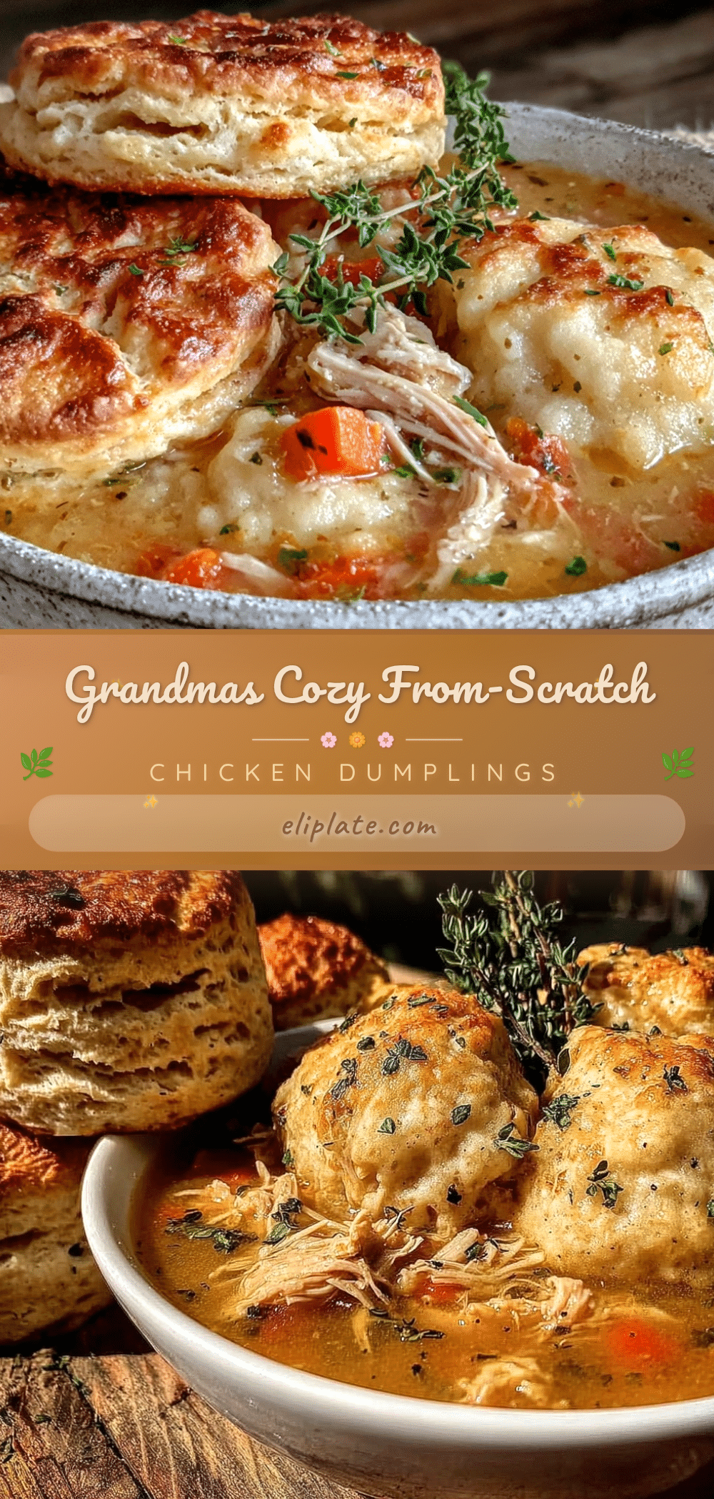 chicken and dumplings recipe recipe