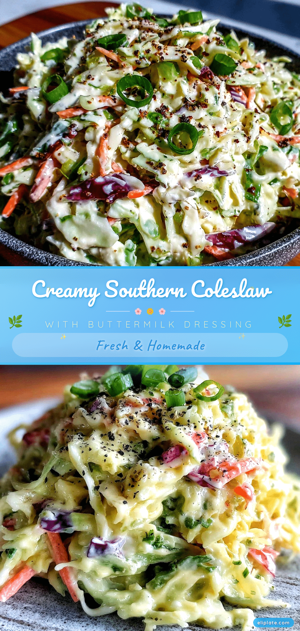 creamy southern coleslaw recipe