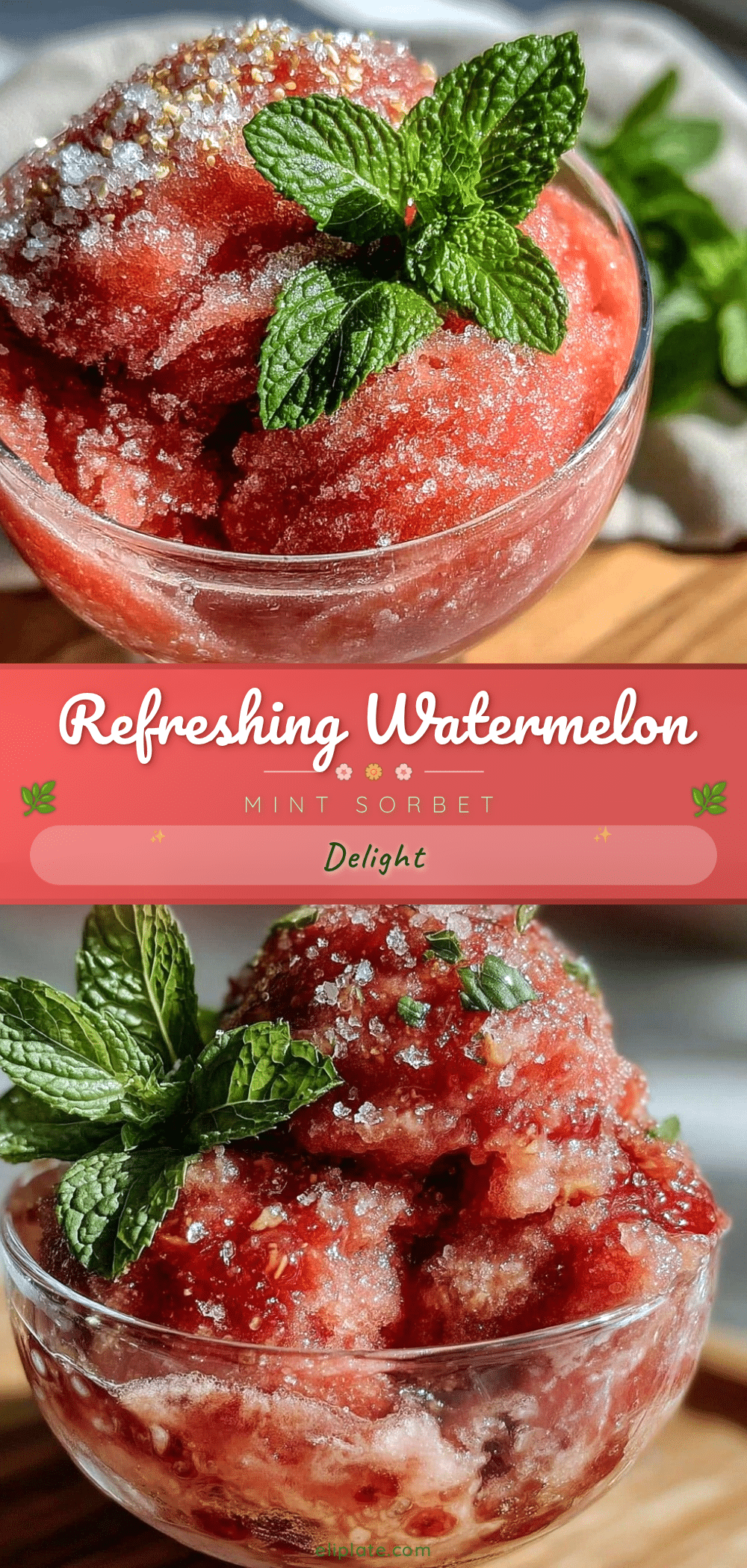 watermelon mint sorbet recipe
