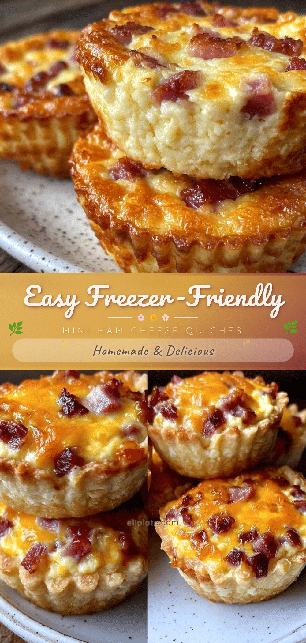 mini ham and cheese quiche cups recipe
