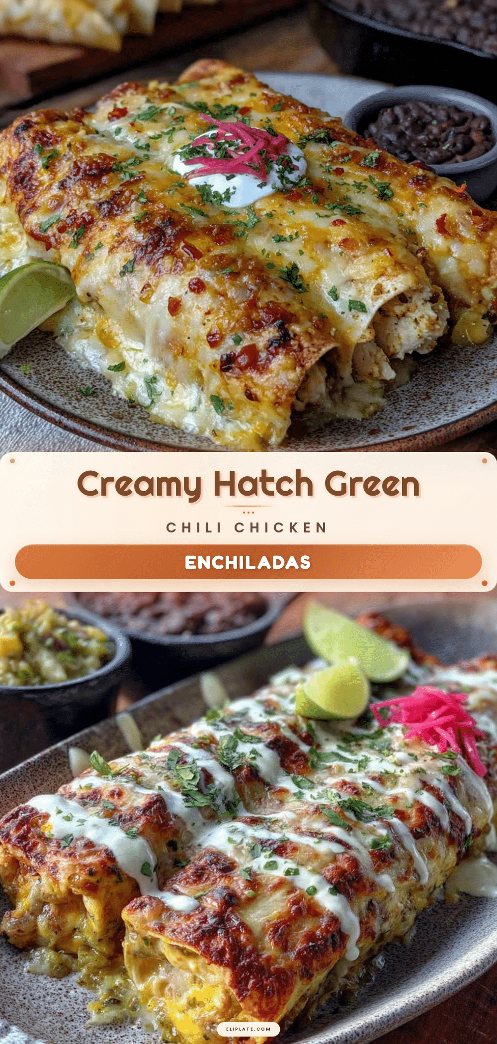Hatch green chili chicken enchiladas recipe