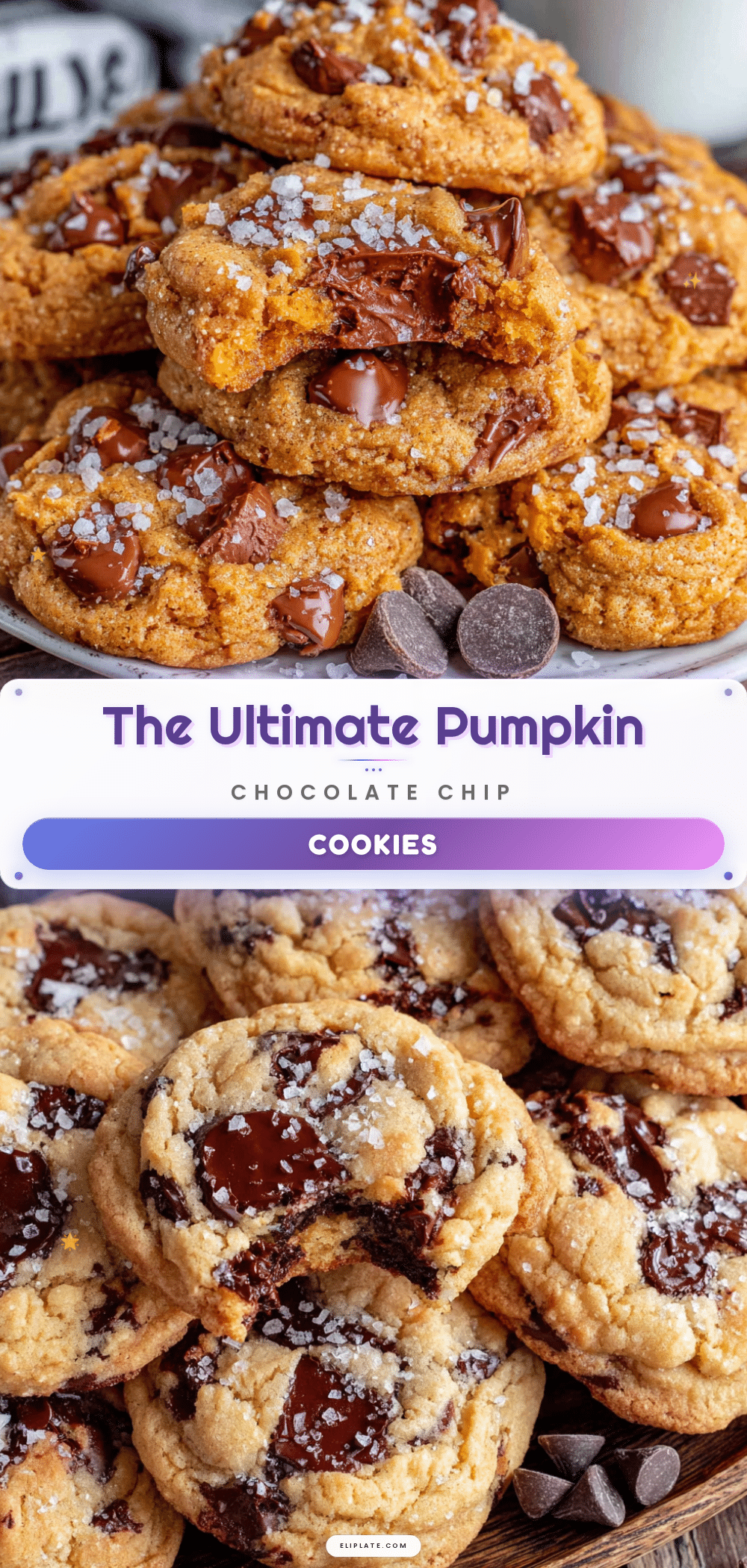 pumpkin chocolate chip cookies with sea salt recipe