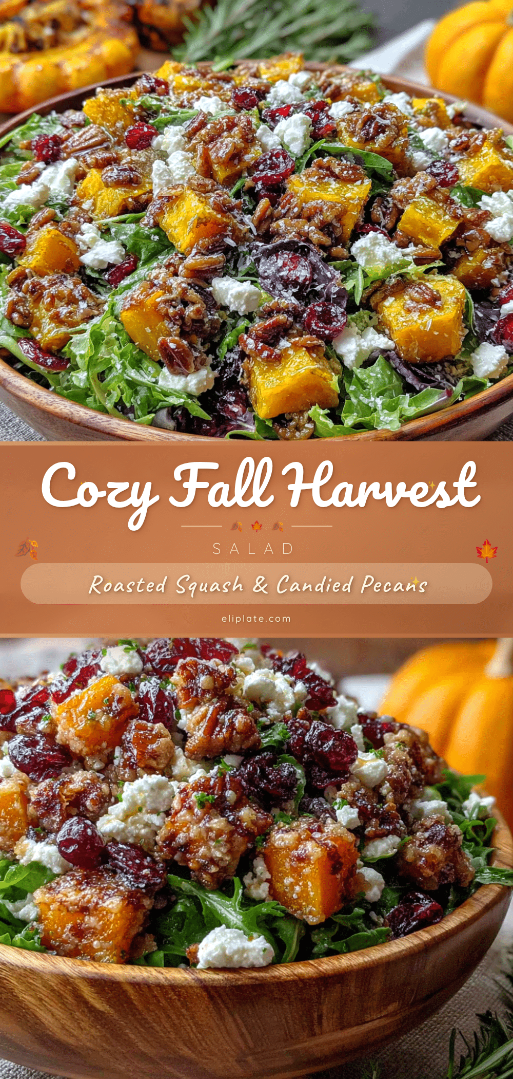 fall harvest salad recipe